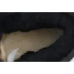  Thick-Soled Low-Top Warm Snow Boots Black 1135092