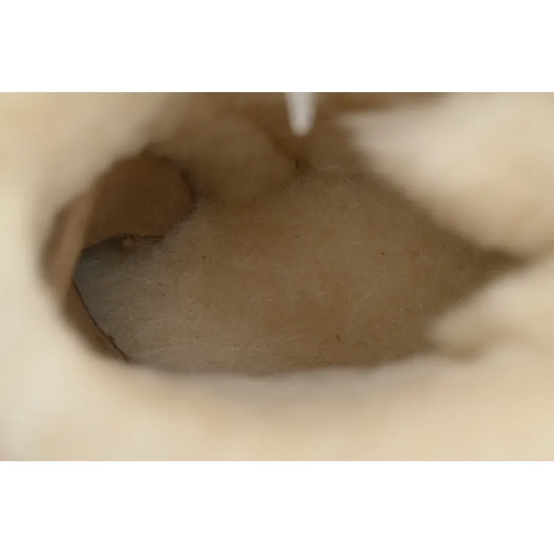 Butterfly Mid-Tube Sand Color 1016501