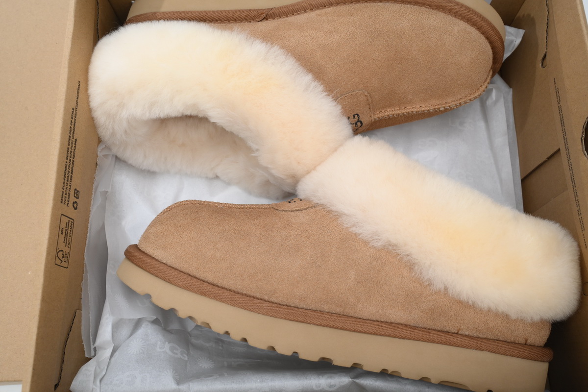 Slip-On Closed Toe Shoes Tazzette Brown 1134810