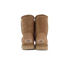 Warm High-top Snow Boots Classic Short Maroon Brown 1016223