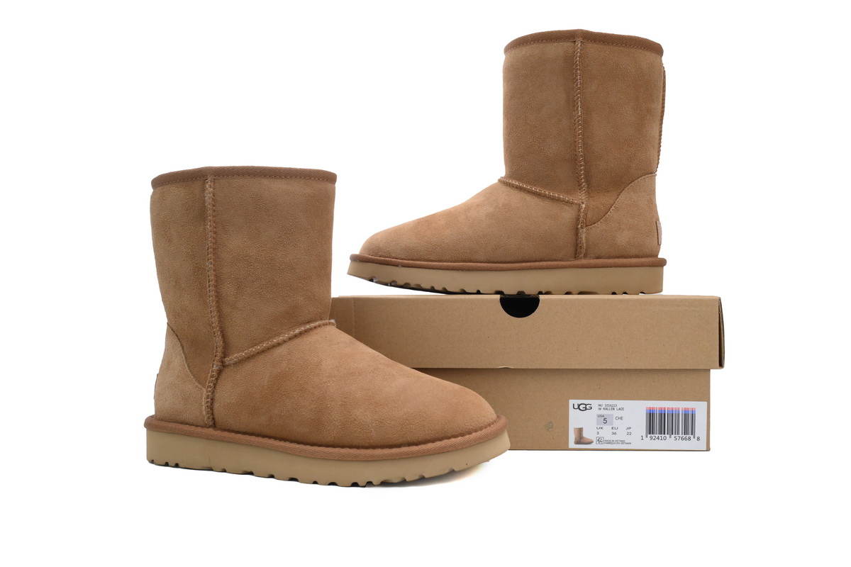 Warm High-top Snow Boots Classic Short Maroon Brown 1016223