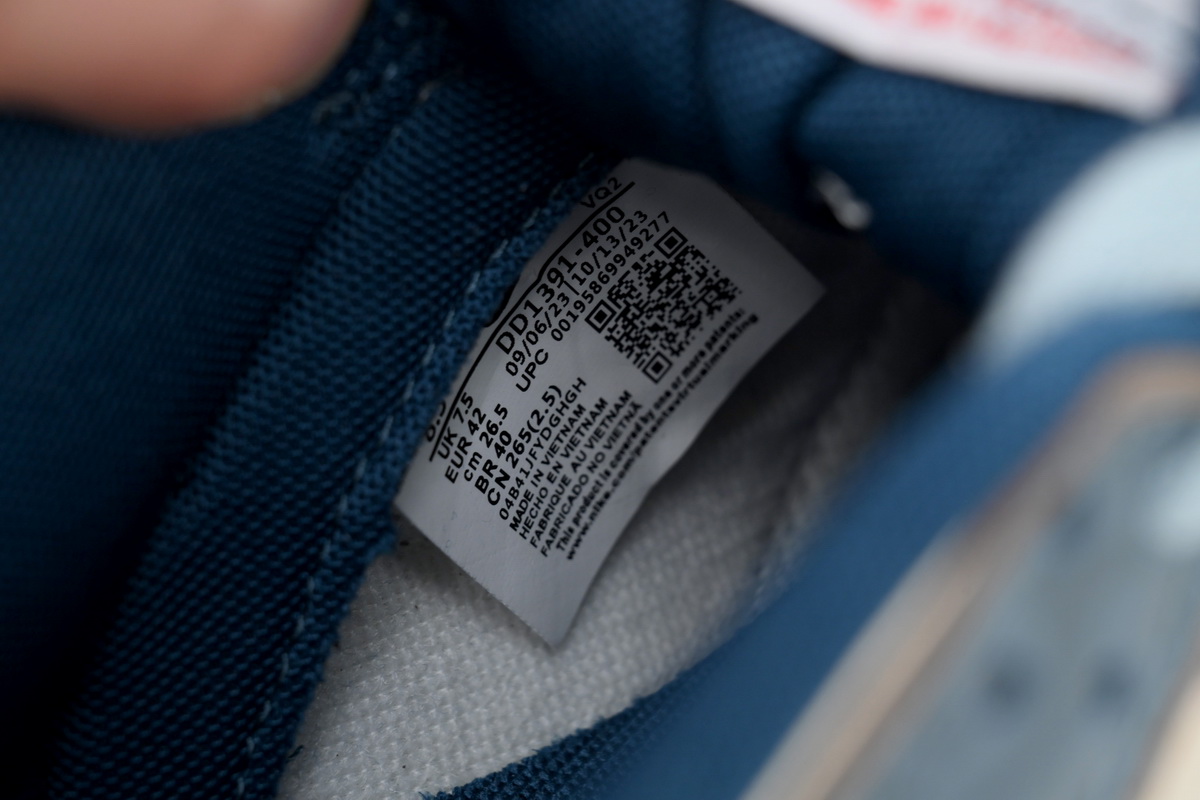 Nike Dunk Low Age Of Navigation DD1391-400