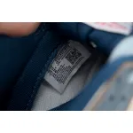 Nike Dunk Low Age Of Navigation DD1391-400