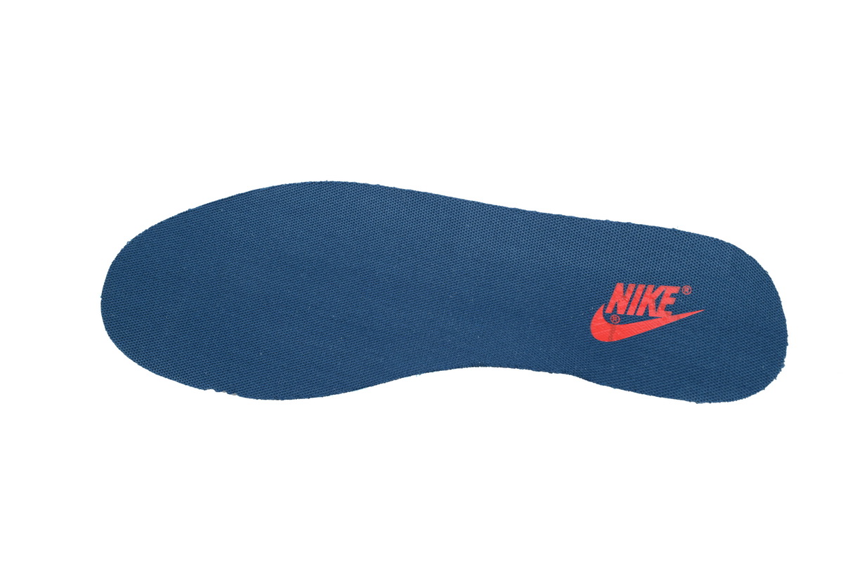 Nike Dunk Low Age Of Navigation DD1391-400