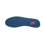 Nike Dunk Low Age Of Navigation DD1391-400