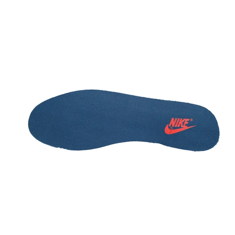 Nike Dunk Low Age Of Navigation DD1391-400