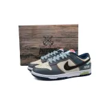 Nike Dunk Low Age Of Navigation DD1391-400