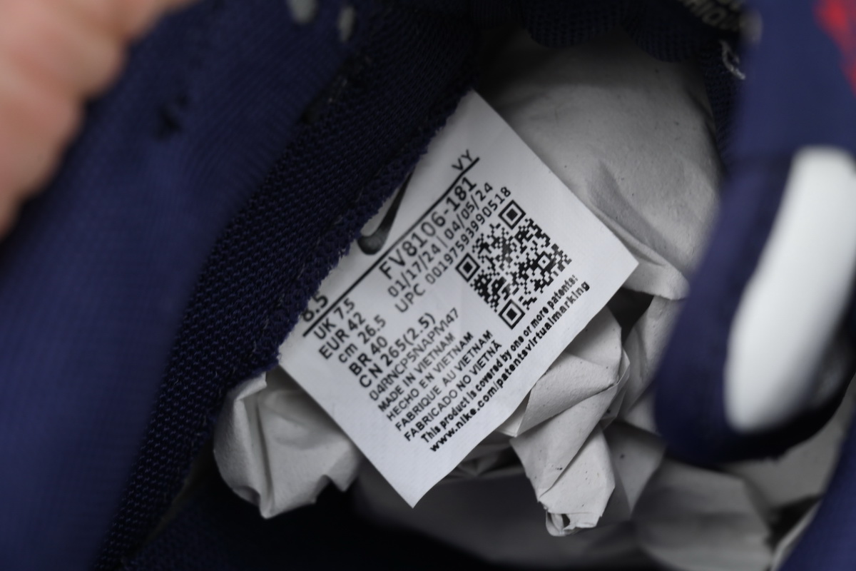 Nike Dunk Low Eye of Horus FV8106-181