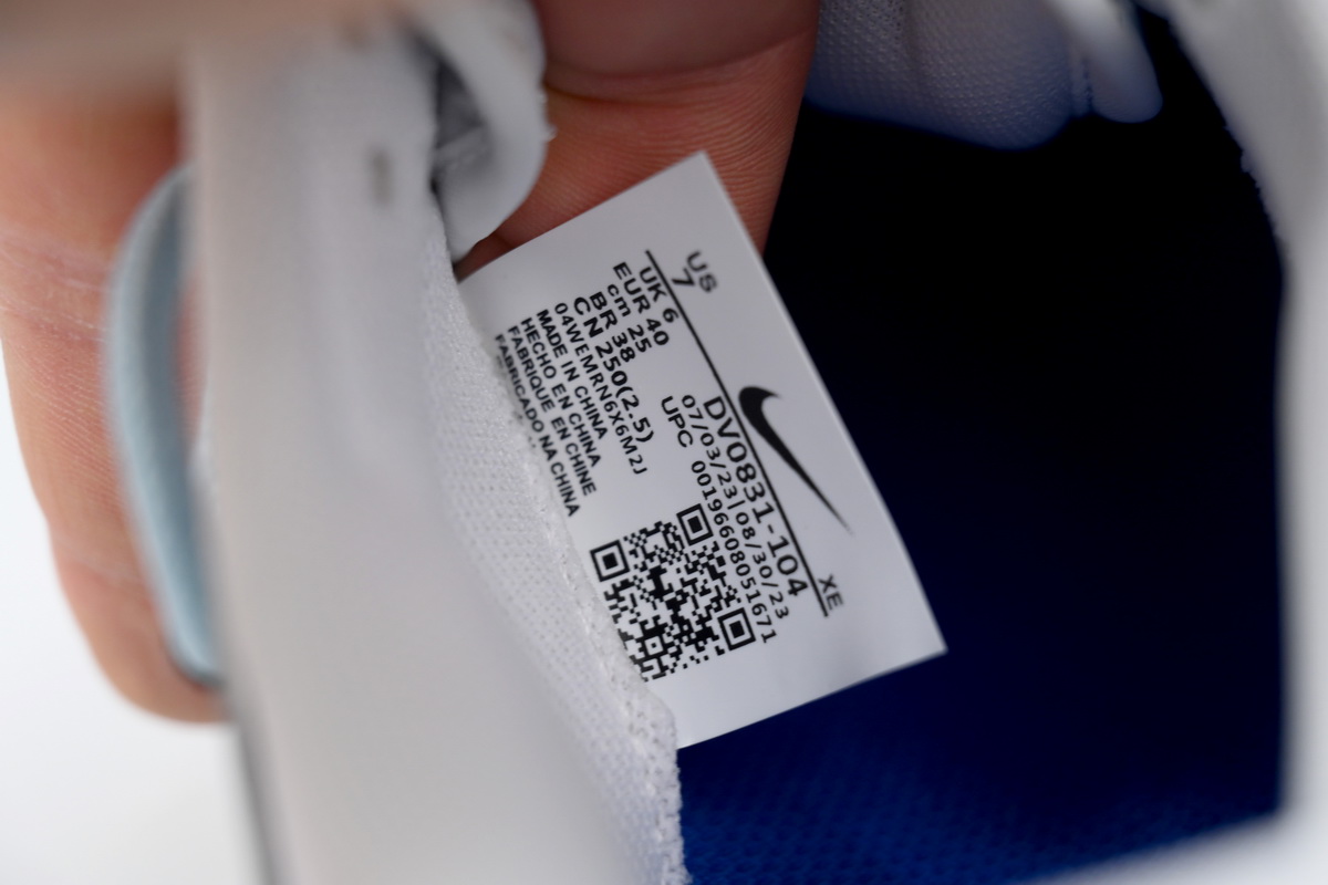 Nike Dunk Low Leisure Diary DV0831-104