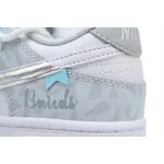 Nike Dunk Low Pure Platinum Rose Whisper HF0730-160