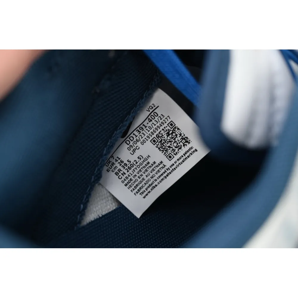 Nike Dunk Low Silver Sea Blue Dragon DD1391-400