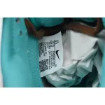 Nike Dunk Low Spring Day Arrival Formation DV0833-101