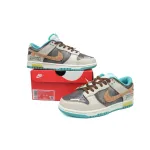 Nike Dunk Low Spring Day Arrival Formation DV0833-101