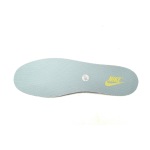 Nike Dunk Low Summer Milk DD1503-123