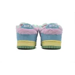 Nike SB Dunk Low Verdy x Dunk Visty FN6040-400