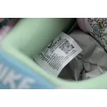Nike SB Dunk Low Verdy x Dunk Visty FN6040-400