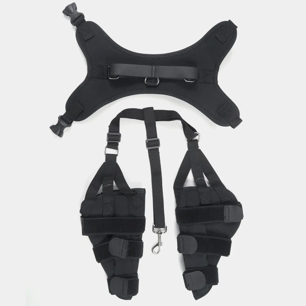 Dog Brace For Torn ACL Ligament Tear Injury