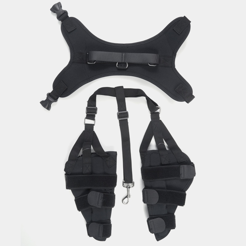 Dog Brace For Torn ACL Ligament Tear Injury