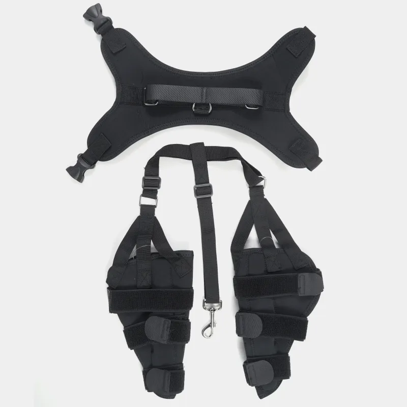 Dog Brace For Torn ACL Ligament Tear Injury