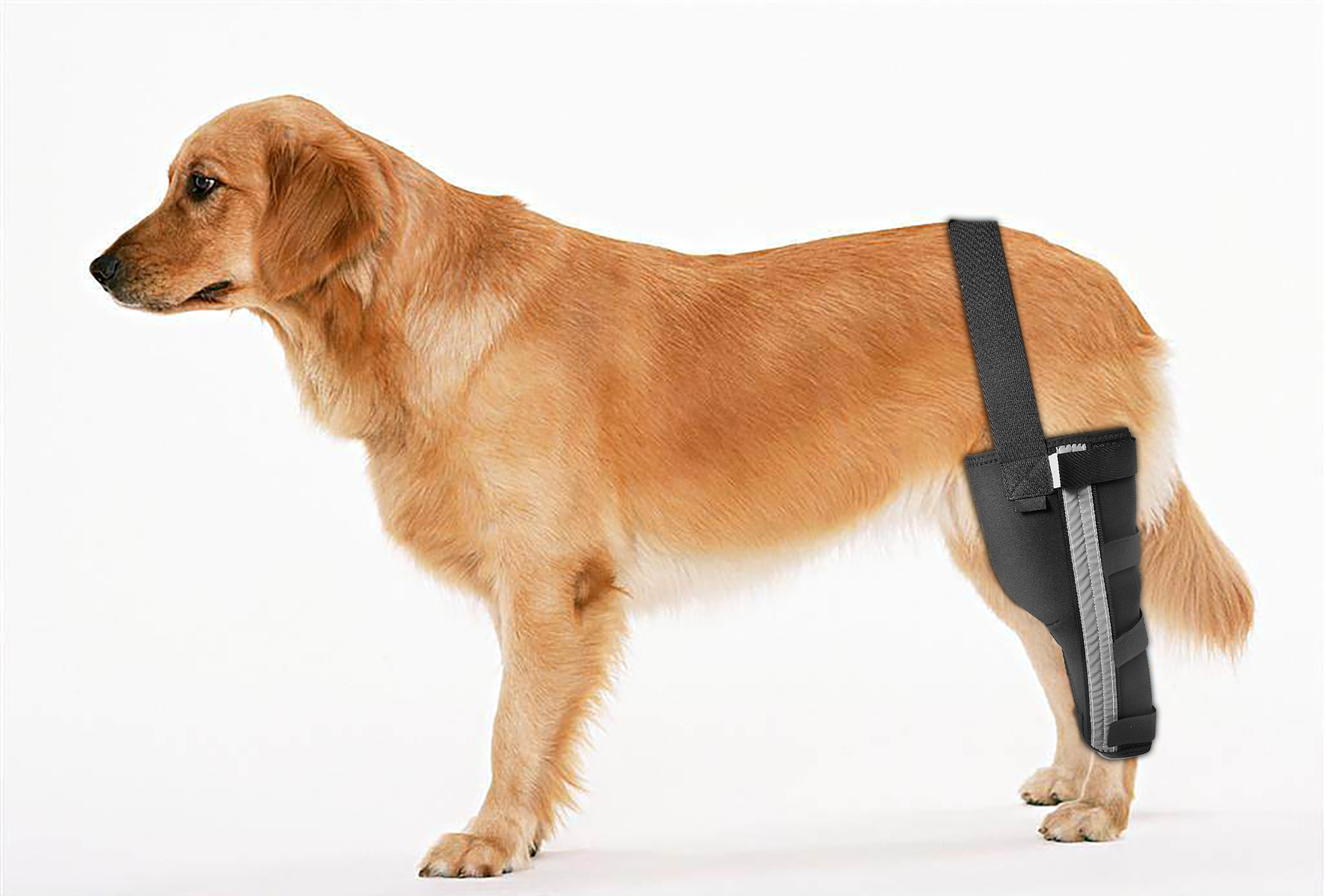 Dog Leg Brace Rear Arthritis Support For Old Dogs