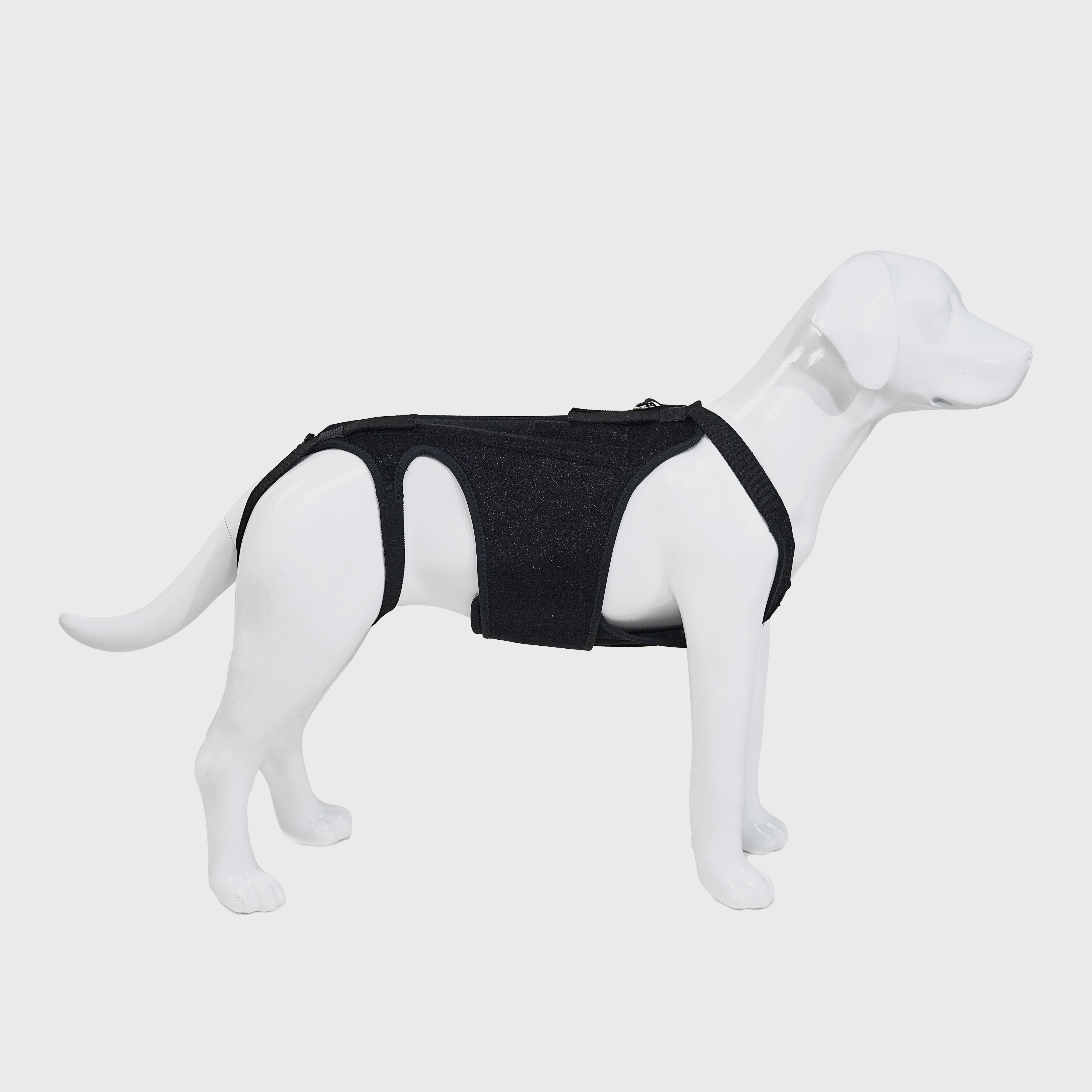 Dog Back Support Brace Harness For IVDD Slipped Disc