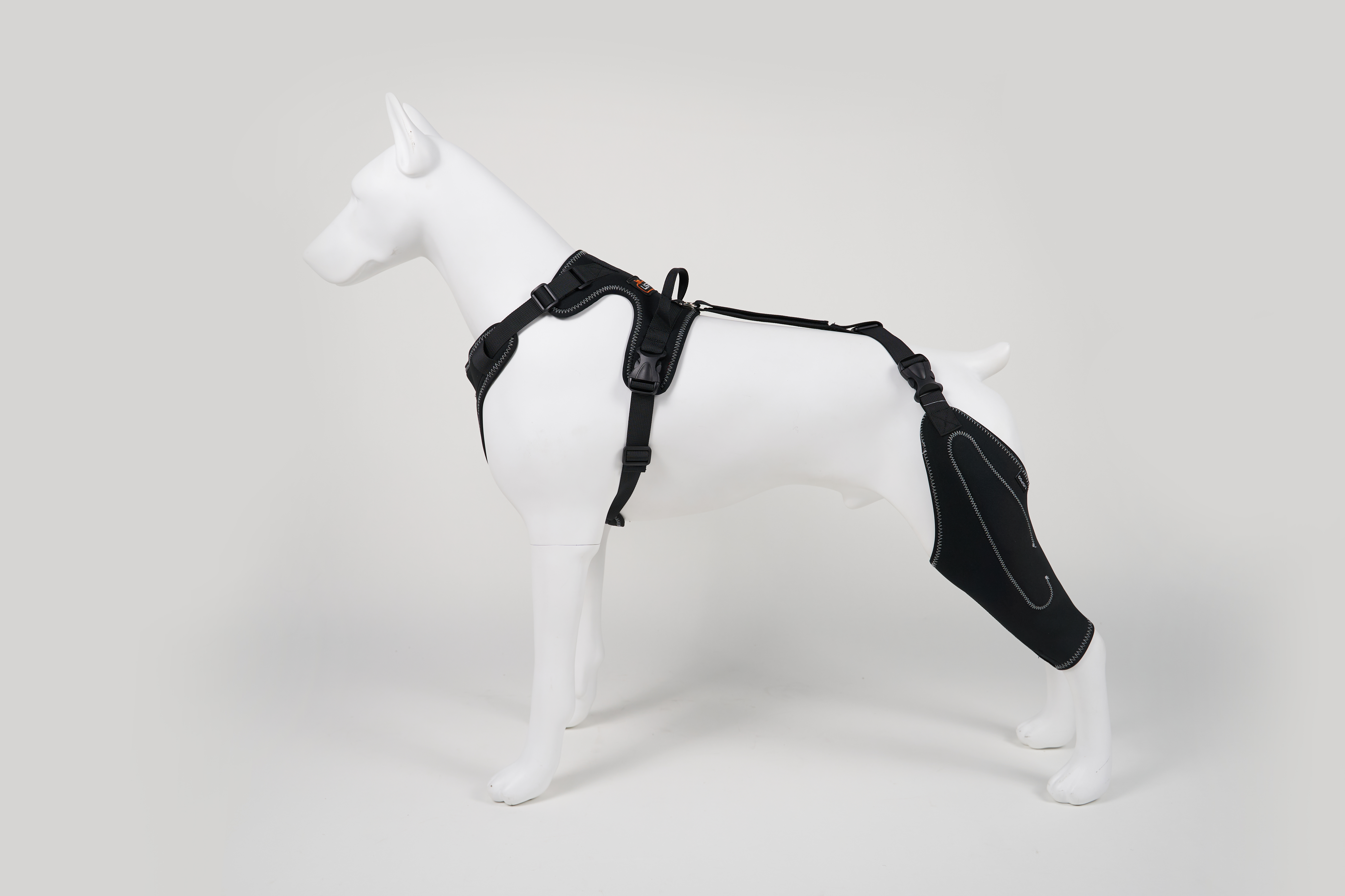 Dog Hind Leg Knee Brace Cruciate Ligament