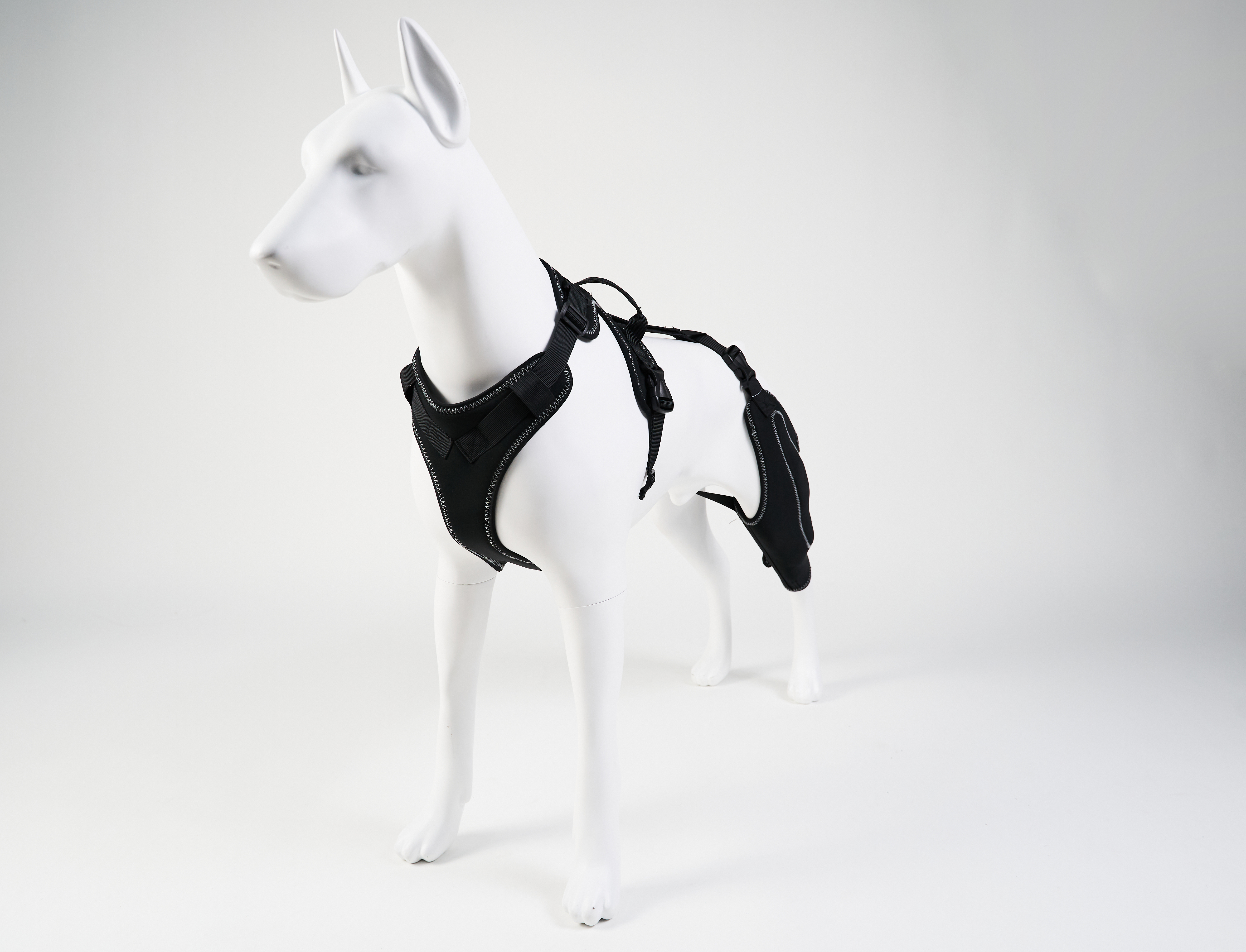 Dog Hind Leg Knee Brace Cruciate Ligament