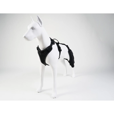 Dog Hind Leg Knee Brace Cruciate Ligament 02