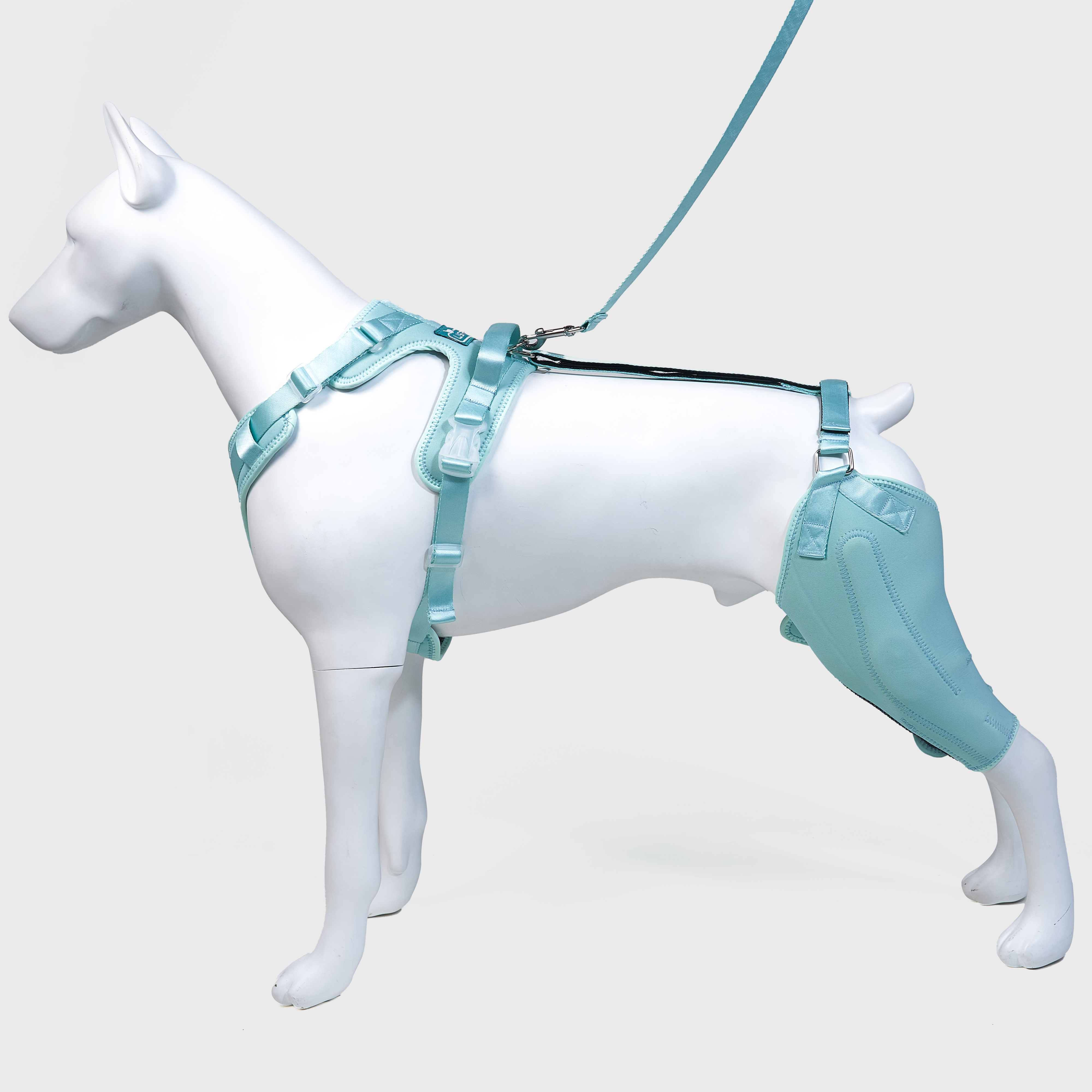 Dog Rear Leg Brace Torn ACL Injury Support For Hind Leg Blue