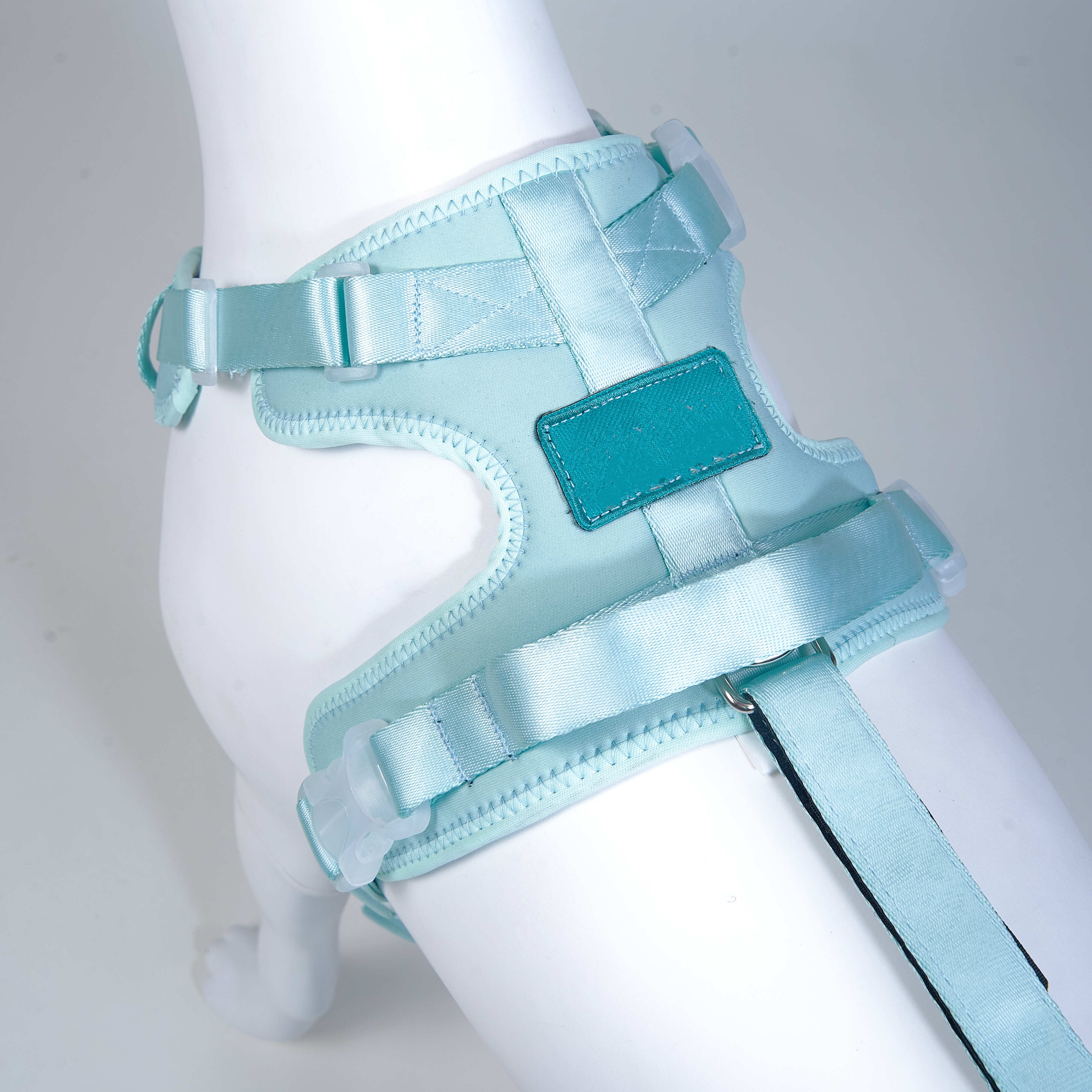 Dog Rear Leg Brace Torn ACL Injury Support For Hind Leg Blue