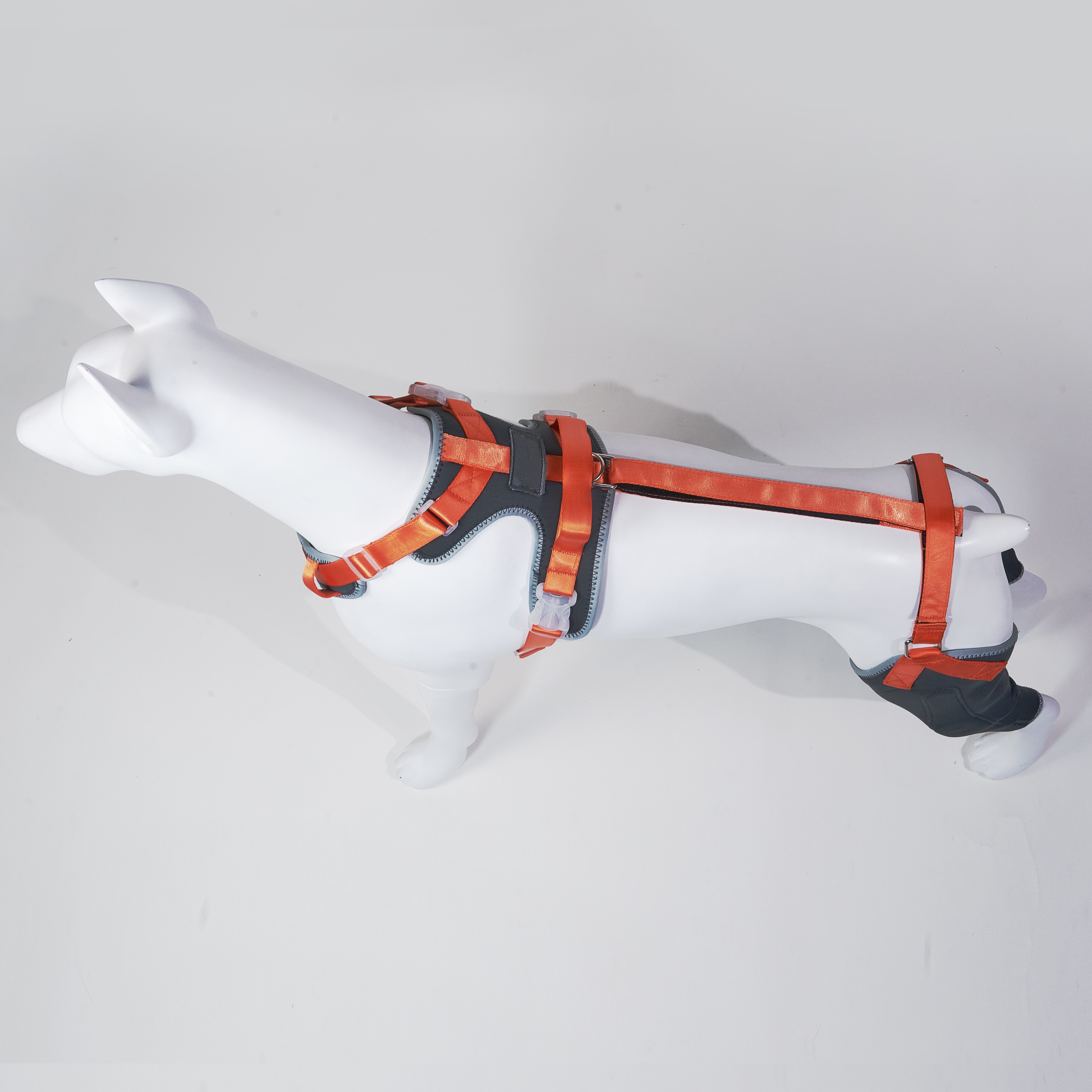 Dog Rear Leg Brace Torn ACL Injury Support For Hind Leg Orange