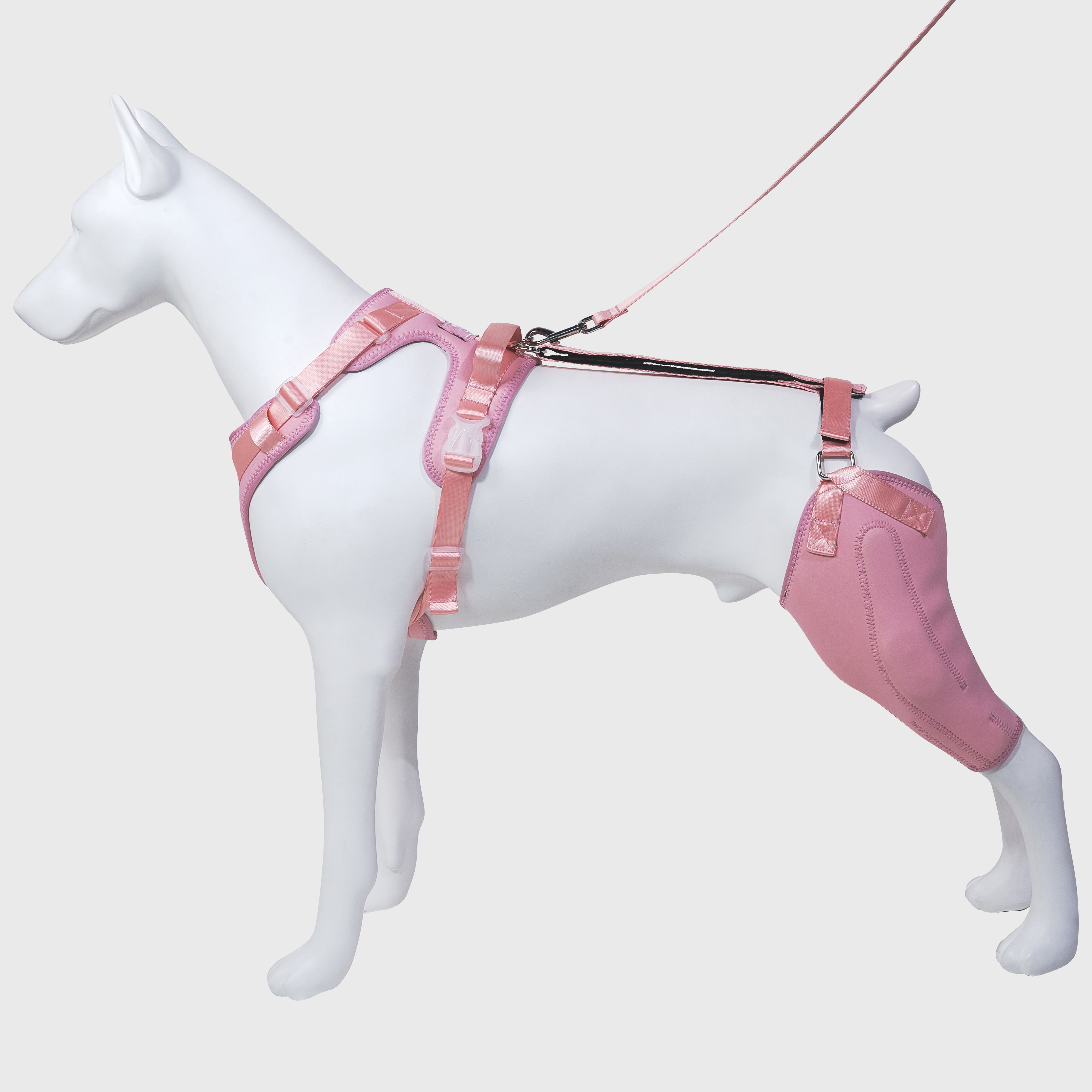 Dog Rear Leg Brace Torn ACL Injury Support For Hind Leg Pink
