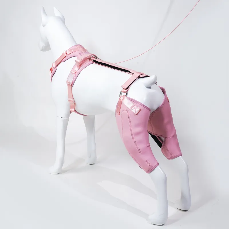 Dog Rear Leg Brace Torn ACL Injury Support For Hind Leg Pink