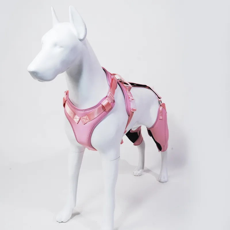 Dog Rear Leg Brace Torn ACL Injury Support For Hind Leg Pink