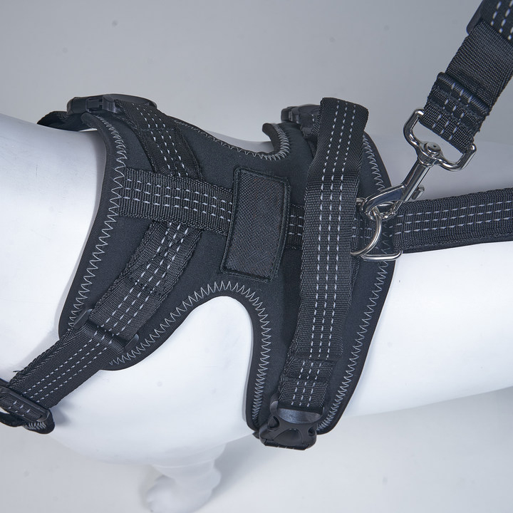 Dog Leg Double Knee Brace For Torn ACL Back Leg