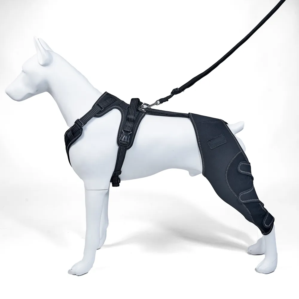 Dog Leg Double Knee Brace For Torn ACL Back Leg