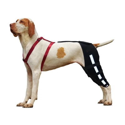 Canine Double Knee Cruciate Ligament Brace For Dogs Reflective 01