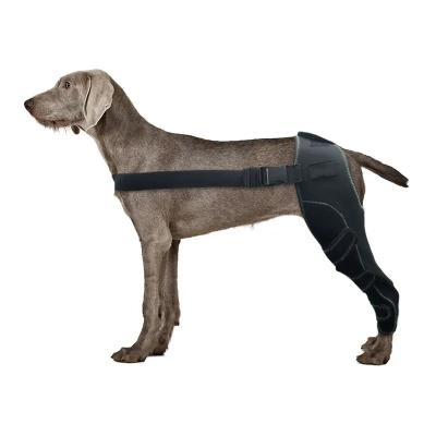 Canine Knee Brace For ACL Tear Luxating Patella Brace 01