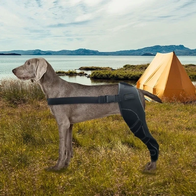 Canine Knee Brace For ACL Tear Luxating Patella Brace 02