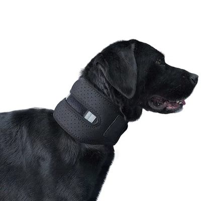 Cervical Collar For Dog Neck Brace After Surgery Orthopedic 01