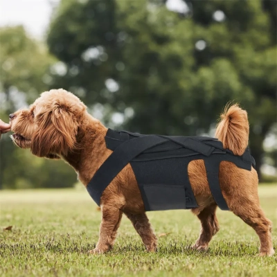 Dog Back Support Brace Harness For IVDD Slipped Disc 02