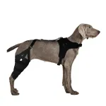 Dog Brace For Torn ACL Ligament Tear Injury