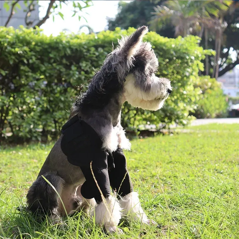 Dog Elbow Splint Support Brace For Dyplasia Front Elbow Arthritis