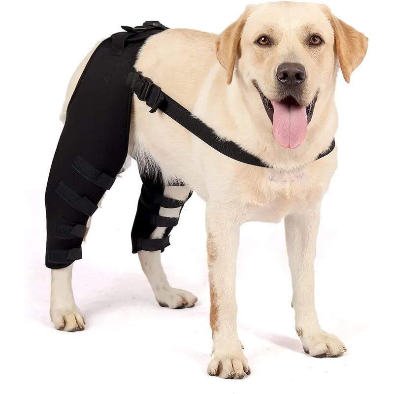 Dog Knee Brace For Torn ACL Double Knee Luxating Patella