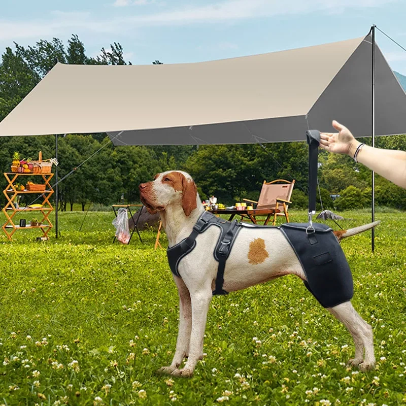 Dog Leg Brace For Hip Dysplasia Support With Arthritis Stabilizer