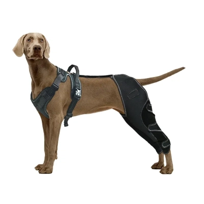 Dog Leg Double Knee Brace For Torn ACL Back Leg 01
