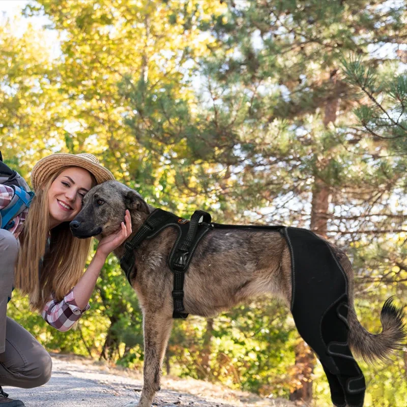 Dog Leg Double Knee Brace For Torn ACL Back Leg