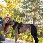 Dog Leg Double Knee Brace For Torn ACL Back Leg