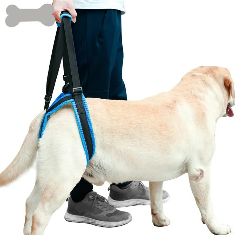Dog Lift Harness Support Sling For Back Legs