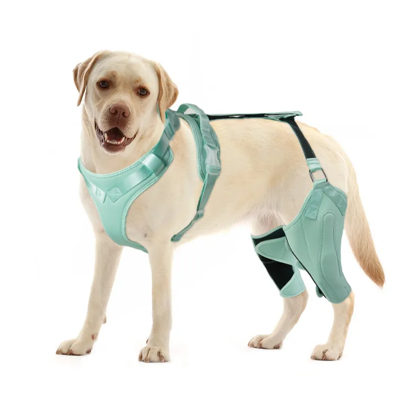 Dog Rear Leg Brace Torn ACL Injury Support For Hind Leg Blue